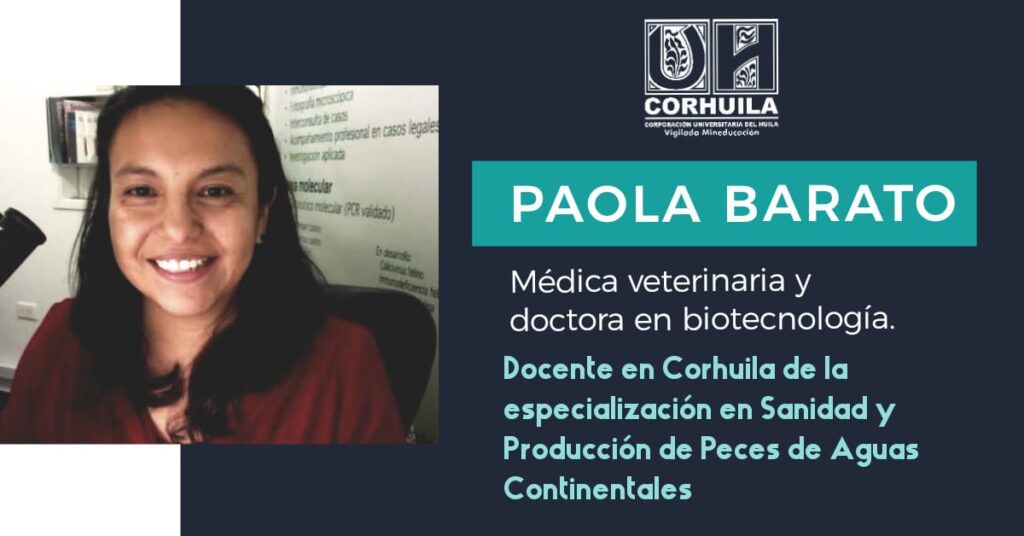Docente de CORHUILA Referente Mundial en Sanidad de Peces