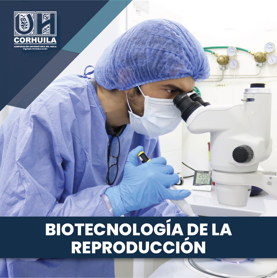 Portafolio Biotecnología de la Reproducción